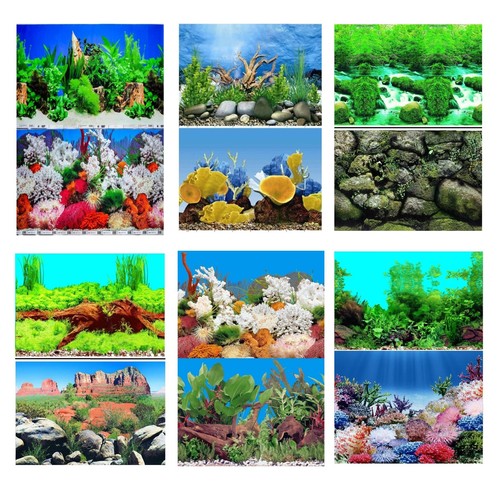 Aquarium fish tank background - fish,