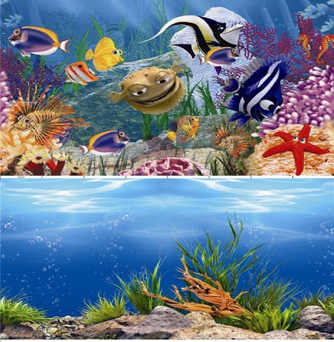 Aquarium fish tank background - fish,