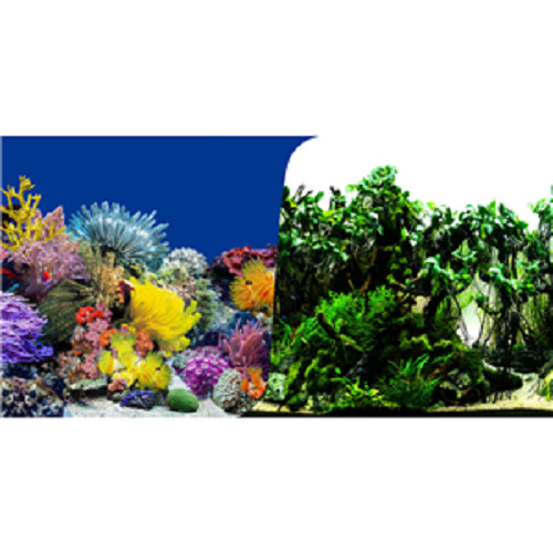 Seaview reef planted quality - reef, /