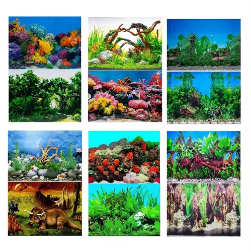 Aquarium fish tank background - aquarium,