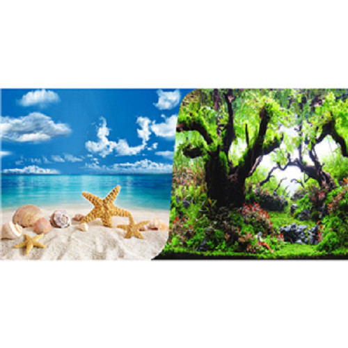 Seaview beach forest quality - beach,