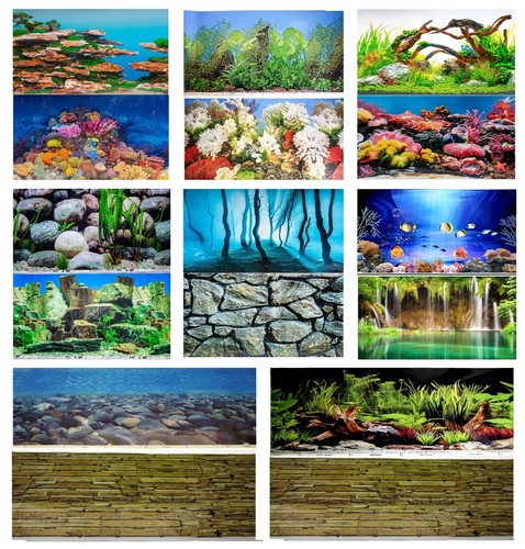Aquarium fish tank background - aquarium,