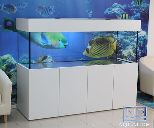X24 - 72"x24"x24", (6'x2'x2')