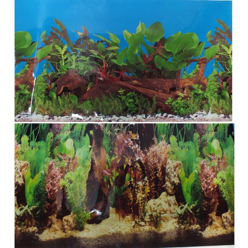 60cm aquarium freshwater - 24"/60cm,