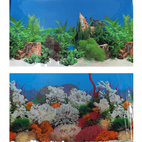 60cm aquarium marine - aquarium,