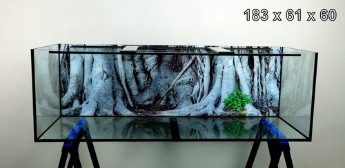 Long aquarium 620l - long, fish