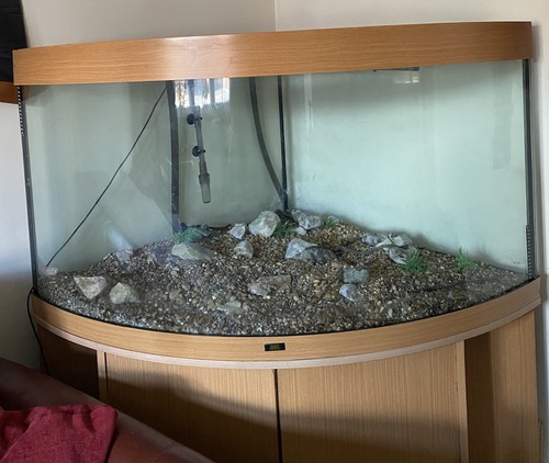 Juwel bowfront glass 350l - bowfront, fish