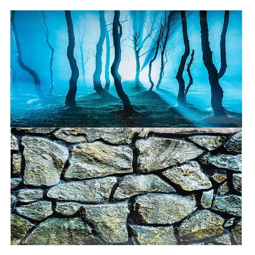 Aquarium fish tank background - aquarium,