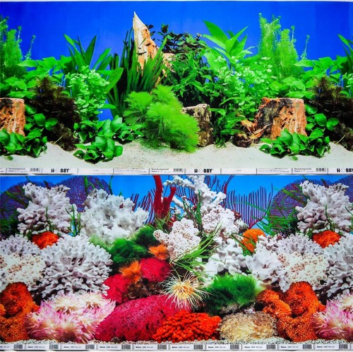 Aquarium fish tank background - tank,