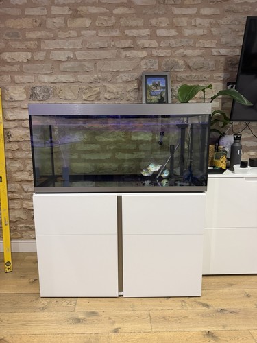 Fluval sienna 330 - fish, tank