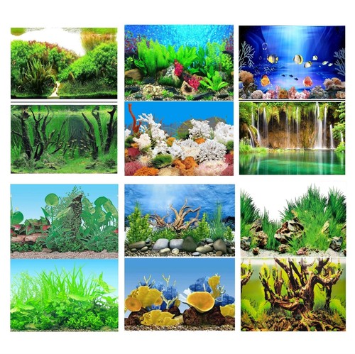 Aquarium fish tank background - tank,