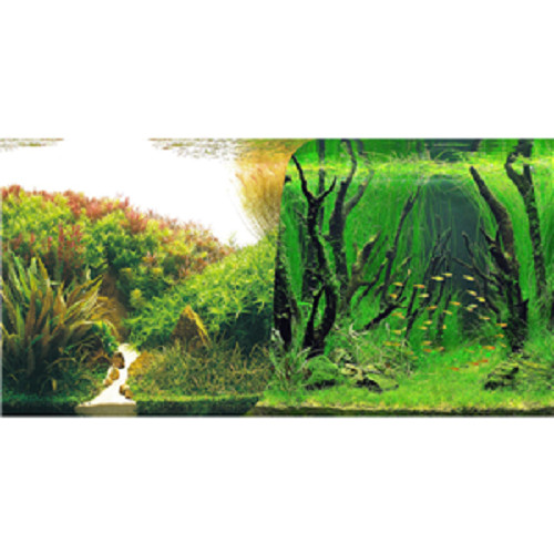Seaview planted forest - planted,