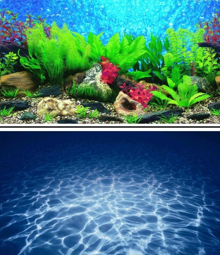 Aquarium fish tank background - aquarium,