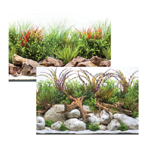 Seaview coastal crisp - seaview,