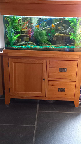 Oak aquarium 200ltr - aquarium,