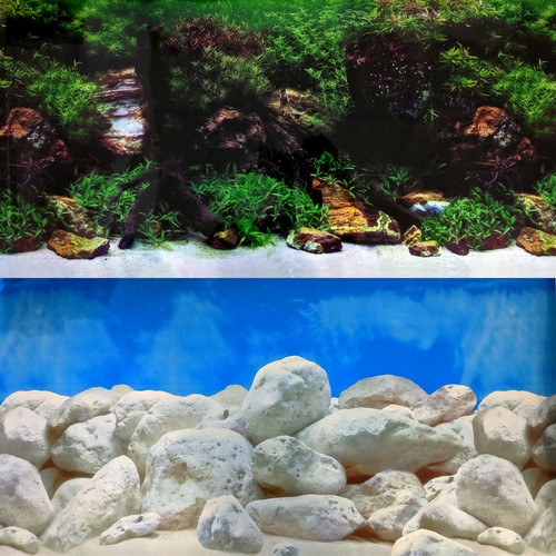 Aquarium background - aquarium,