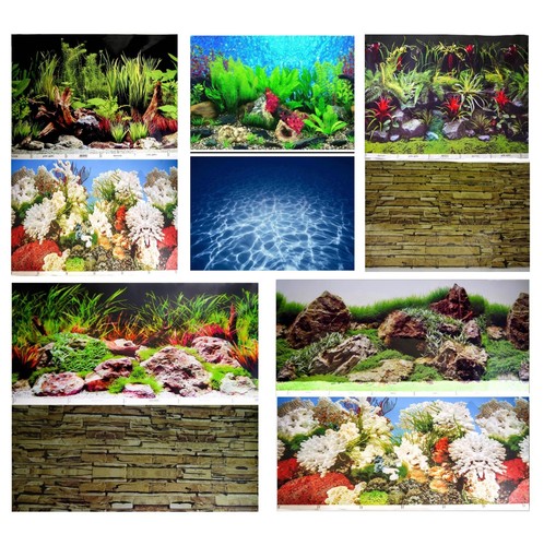 Aquarium fish tank background - fish,