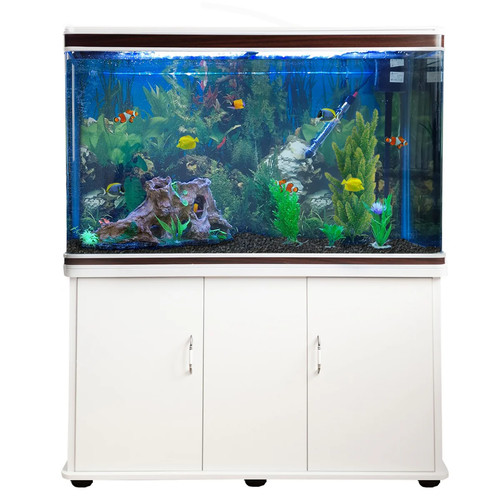 4ft fish tank - fish,