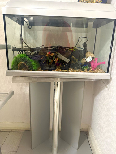 220l glass freshwater - 220l,