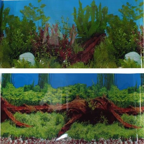 49cm aquarium fish tank - 19"/49cm,
