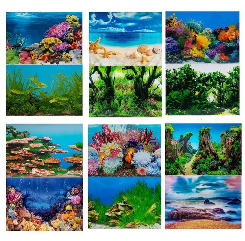 Aquarium fish tank - aquarium,