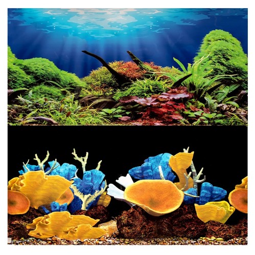 Aquarium fish tank background - aquarium,