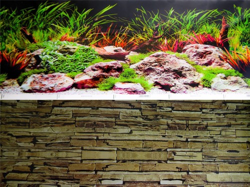 Double sided aquarium - double,