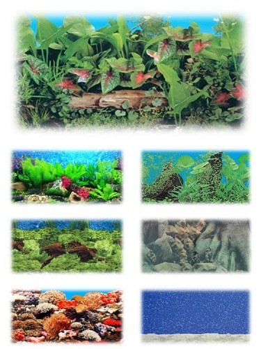 Aquarium fish tank vivarium - aquarium,