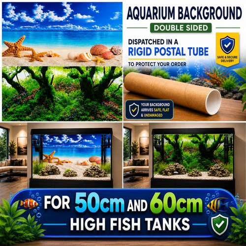 Aquarium fish tank background - fish,
