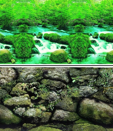Aquarium fish tank background - aquarium,