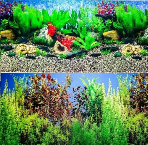 Aquarium fish tank background - aquarium,