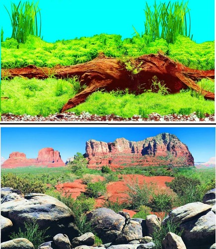 Aquarium fish tank background - aquarium,
