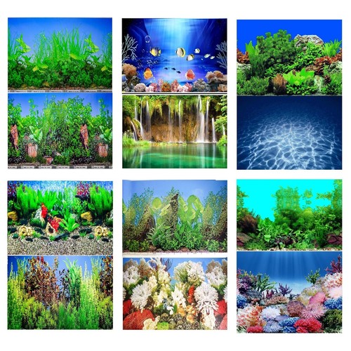 Aquarium fish tank - fish, background