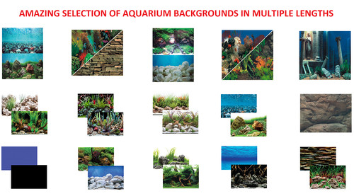 Seaview quality aquarium - seaview, fish