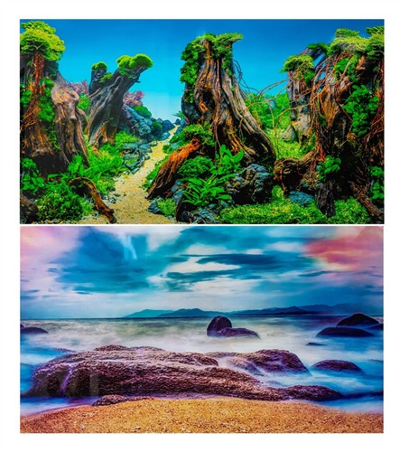 Aquarium fish tank background - aquarium,