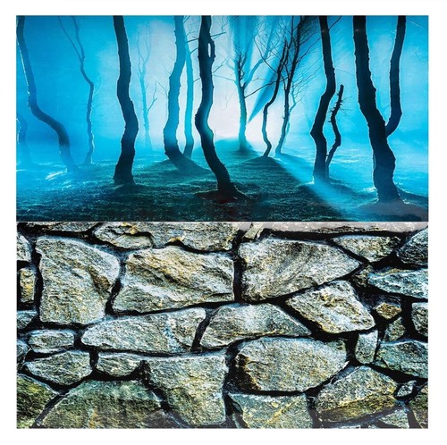 Aquarium fish tank background - aquarium,