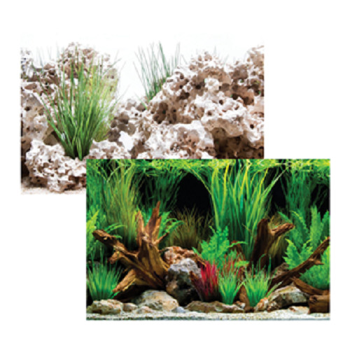 Seaview cloudstone - cloudstone, /