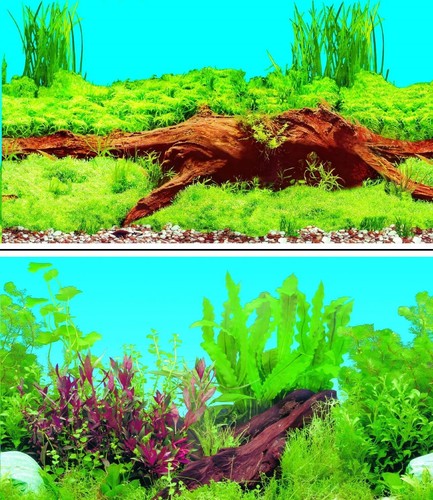Aquarium fish tank background - aquarium,