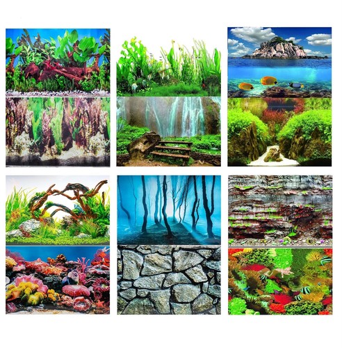 Aquarium fish tank background - fish,