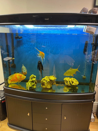 Used fish tank - used,