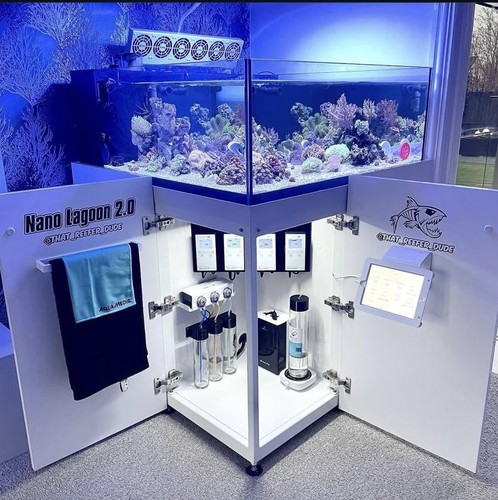 Aquariums life custom built - 4,