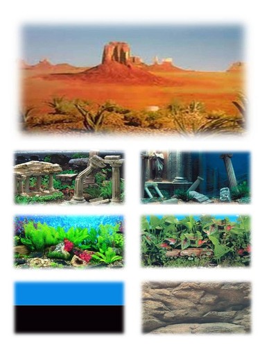 Aquarium fish tank vivarium - aquarium,