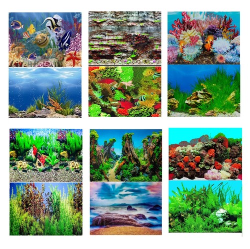 Aquarium fish tank background - aquarium,