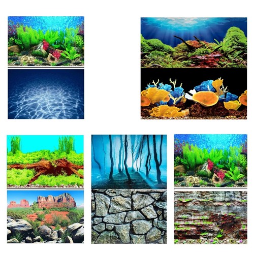 Aquarium fish tank - tank, background
