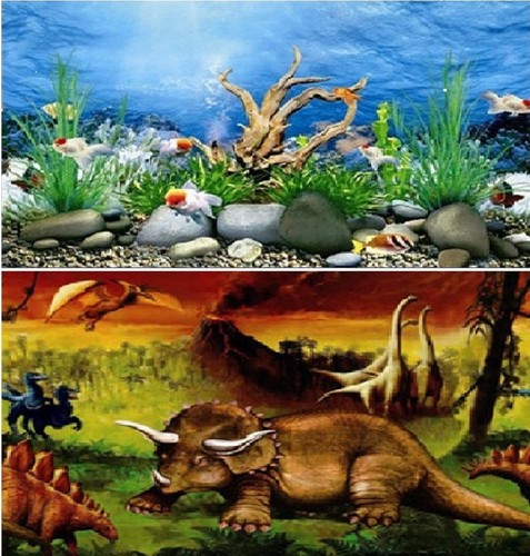 Aquarium fish tank background - aquarium,