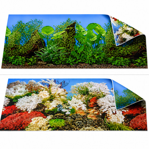Aquarium fish tank background - aquarium,