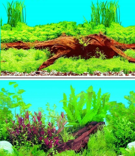 Aquarium fish tank background - tank,