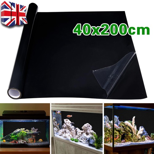 Aquarium fish tank background - fish,