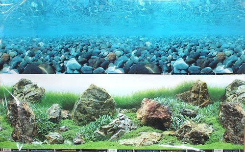 Double sided aquarium - 12",