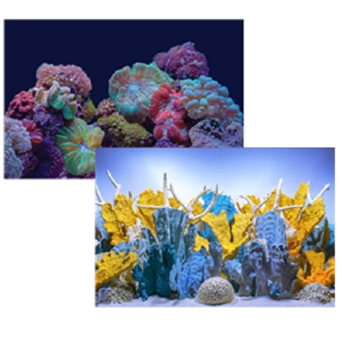 Seaview coral bliss luscia - coral, /luscia